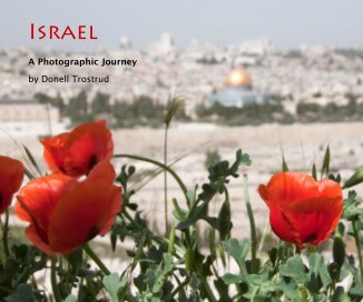 Israel book cover