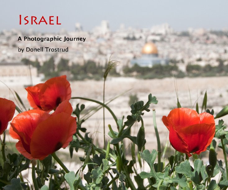 View Israel by Donell Trostrud