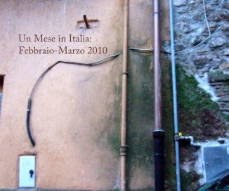 Un Mese in Italia: Febbraio-Marzo 2010 book cover