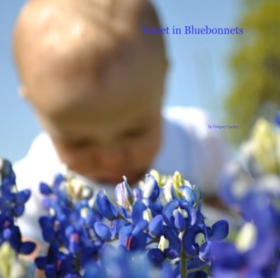 Violet in Bluebonnets book cover
