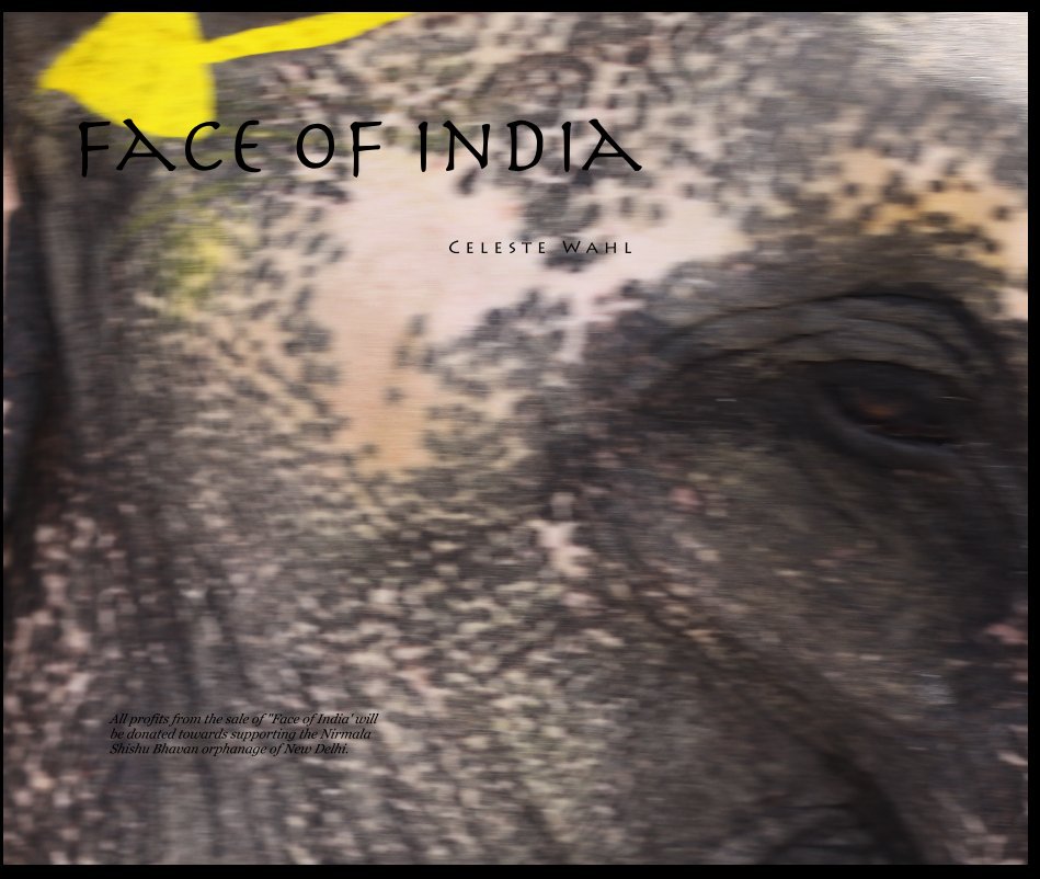 View Face of India by All profits from the sale of "Face of India' will be donated towards supporting the Nirmala Shishu Bhavan orphanage of New Delhi.