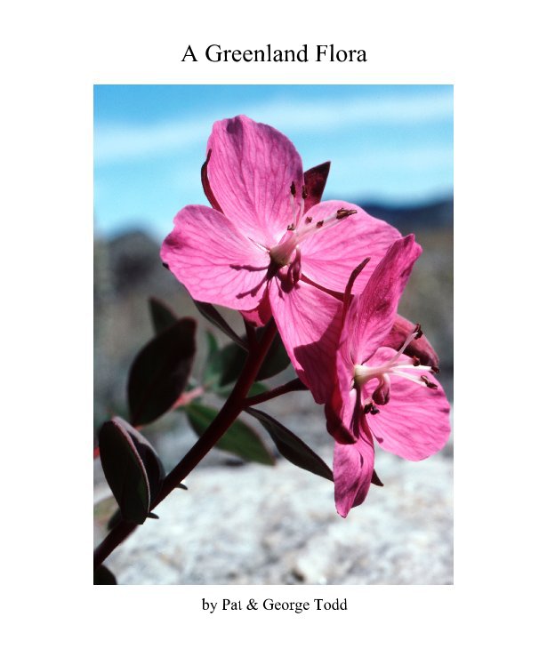 View A Greenland Flora by Pat & George Todd