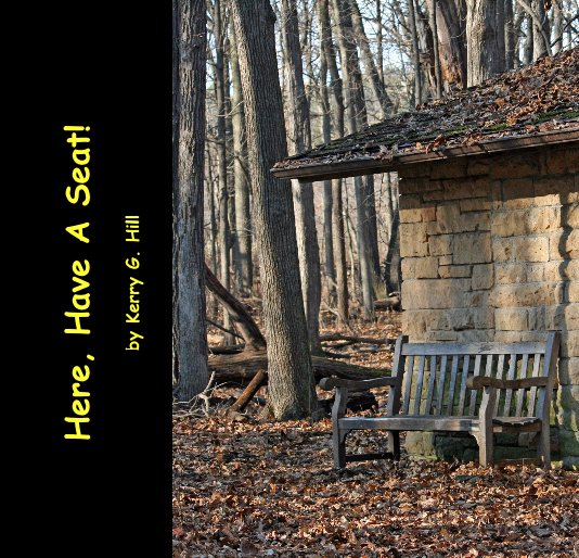 View Here, Have A Seat! by Kerry G. Hill