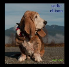 sadie ellison book cover