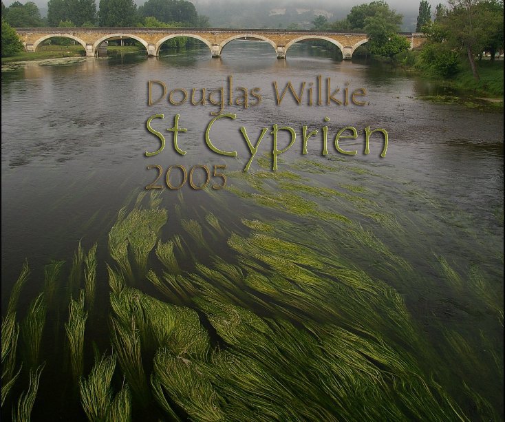 View St Cyprien 2005 by Douglas Wilkie