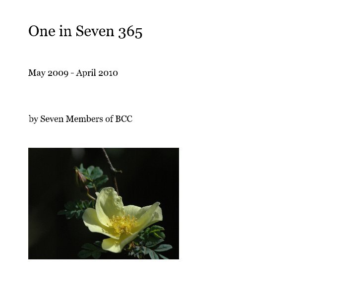 View One in Seven 365 by Seven Members of BCC