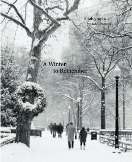 A Winter to Remember book cover