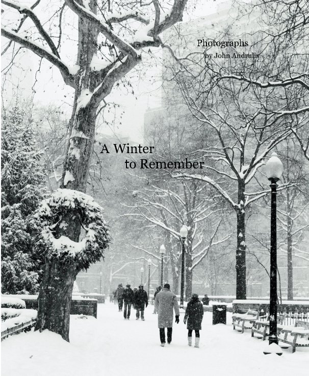 View A Winter to Remember by John Andrulis