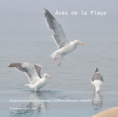 Aves de la Playa book cover