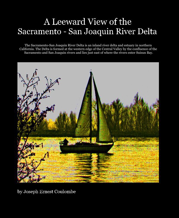 Visualizza A Leeward View of the Sacramento - San Joaquin River Delta di joseph ernest coulombe