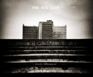 THE BIG CITY book cover