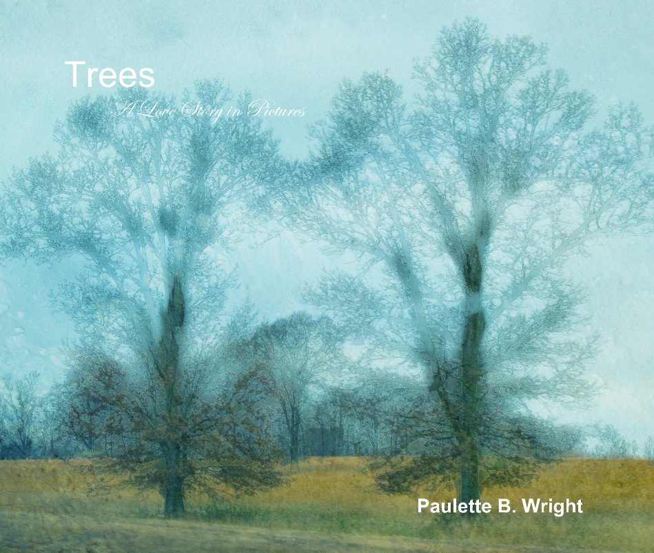 View Trees A Love Story in Pictures by Paulette B. Wright