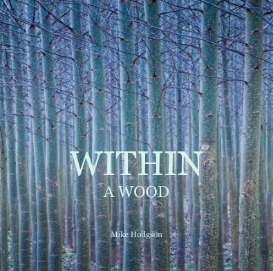 Within a Wood book cover