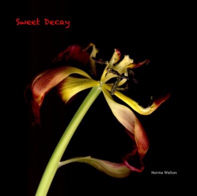 Sweet Decay book cover