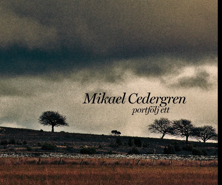 Bekijk Mikael Cedergren - portfölj ett op Mikael Cedergren