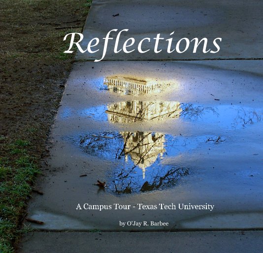 View Reflections by O'Jay R. Barbee