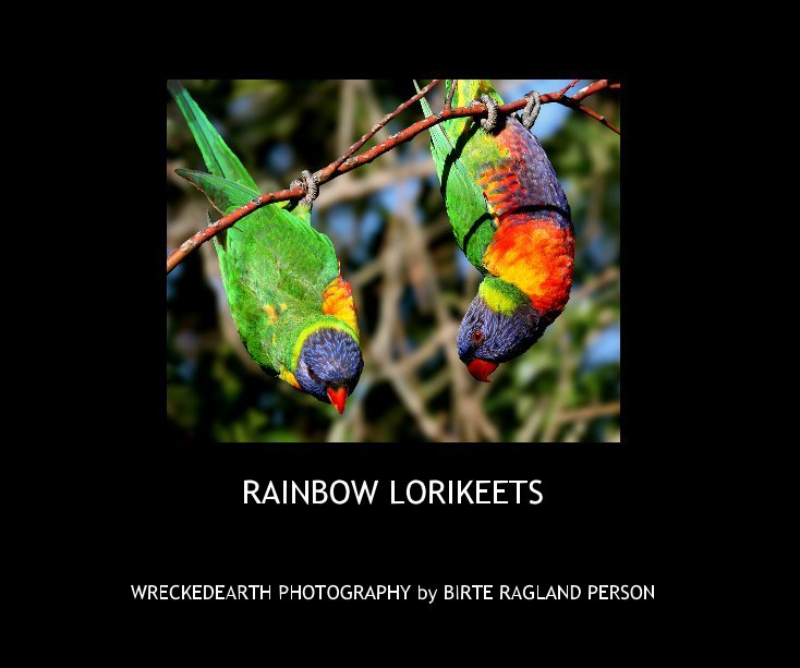 View RAINBOW LORIKEETS by WRECKEDEARTH PHOTOGRAPHY by BIRTE RAGLAND PERSON