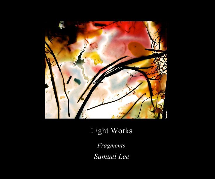 View Light Works by Samuel Lee