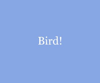Bird! book cover