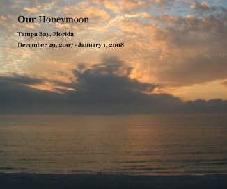 Our Honeymoon book cover