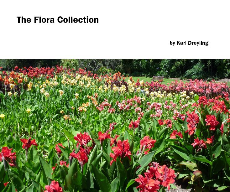 View The Flora Collection by Kari Dreyling