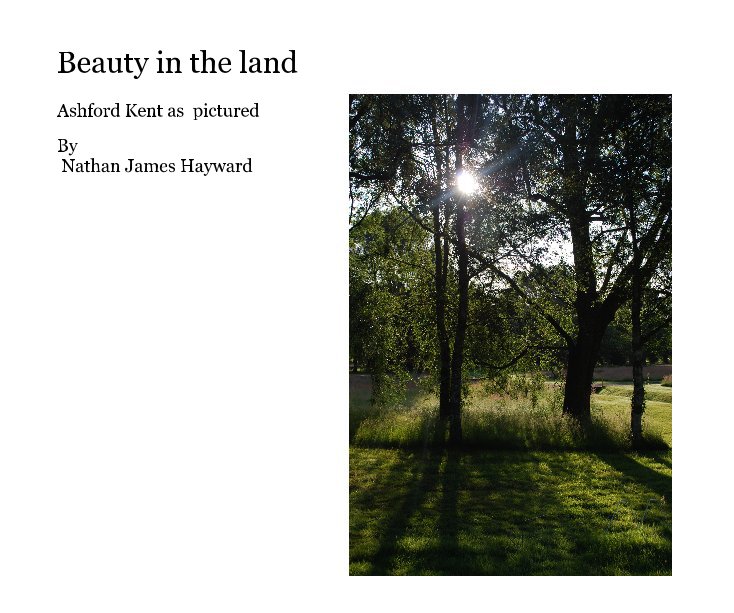 View Beauty in the land by Nathan James Hayward