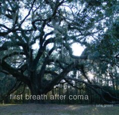 first breath after coma book cover