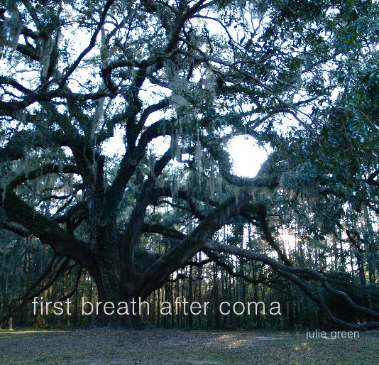 Ver first breath after coma por julie green