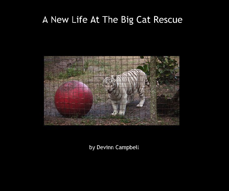 View A New Life At The Big Cat Rescue by Devinn Campbell