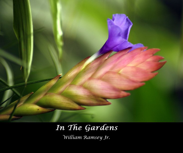 View In The Gardens by William Ramsey Jr.