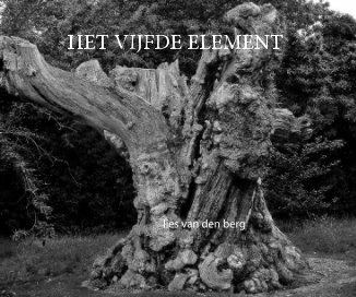 HET VIJFDE ELEMENT book cover