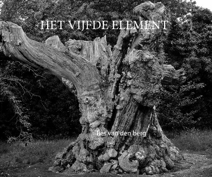 View HET VIJFDE ELEMENT by Lies van den Berg