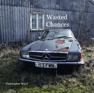 Wasted Chances book cover