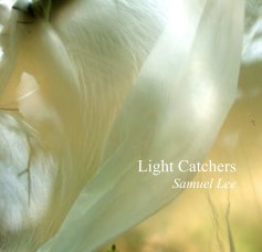 Light Catchers (Small Version 2) book cover