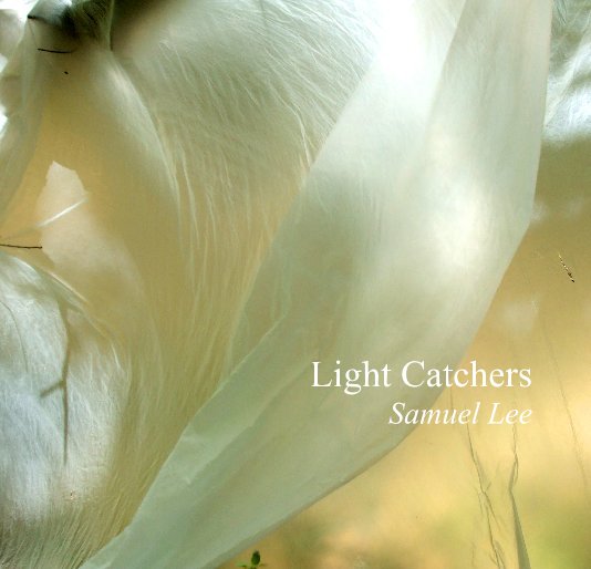 Ver Light Catchers (Small Version 2) por Samuel lee