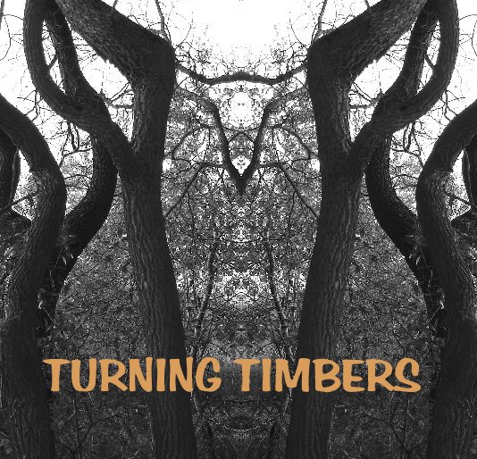 View TURNING TIMBERS by Larry Jensen & Joan Gibb Engel
