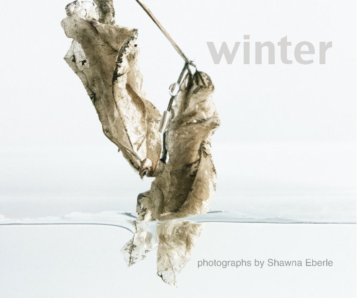 Bekijk Winter op Shawna Eberle