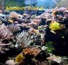 Aquarium tropical book cover