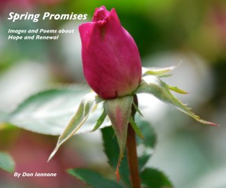 Spring Promises book cover