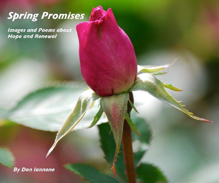 View Spring Promises by Don Iannone