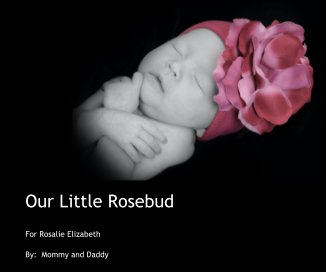 Our Little Rosebud book cover