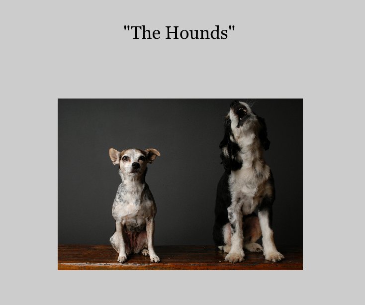 View "The Hounds" by PETER CAMPBELL