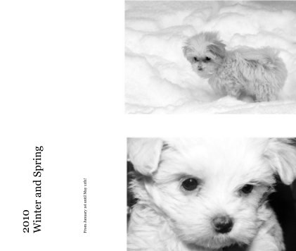 2010 Winter and Spring book cover