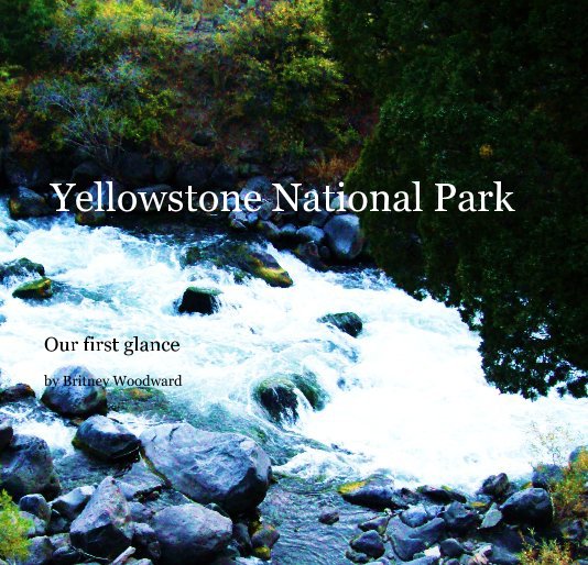 View Yellowstone National Park by Britney Woodward