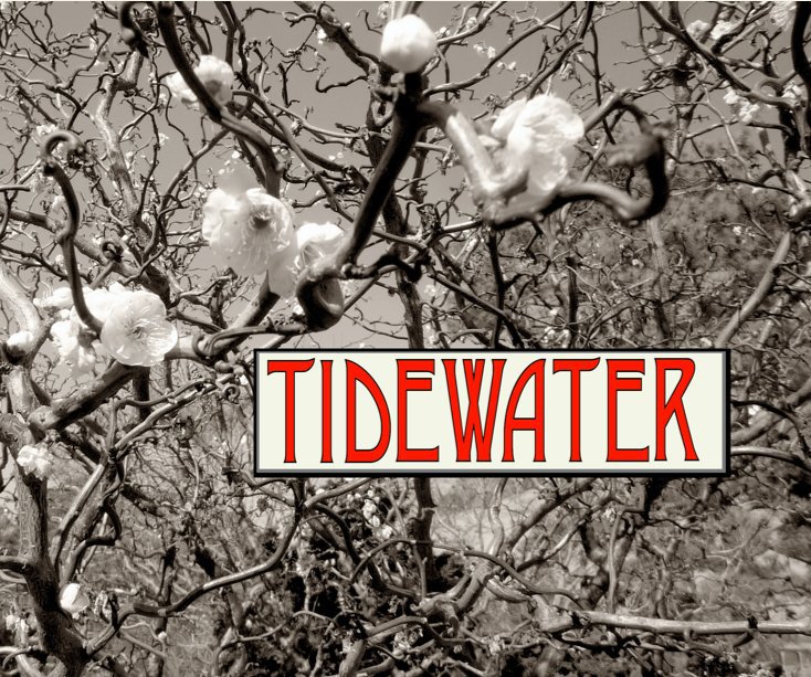 View Tidewater by Richard Nilsen