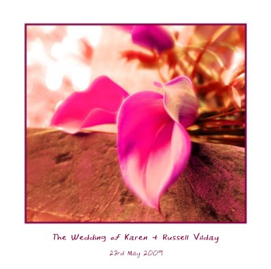The Wedding of Karen & Russell Vilday book cover