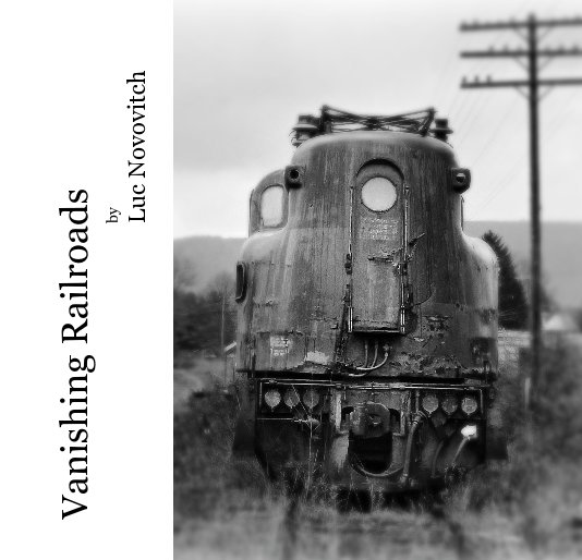 View Vanishing Railroads by Luc Novovitch