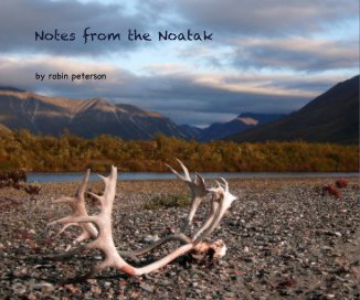Notes from the Noatak book cover