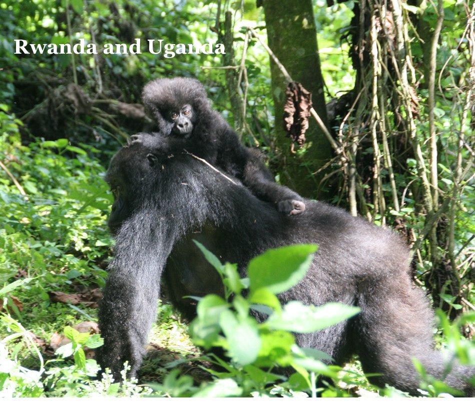 View Rwanda and Uganda by RRW