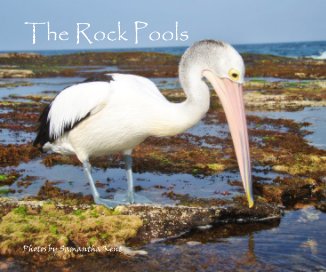 The Rock Pools book cover